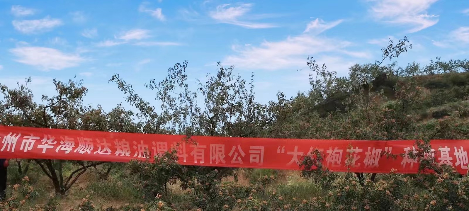花椒1.jpg